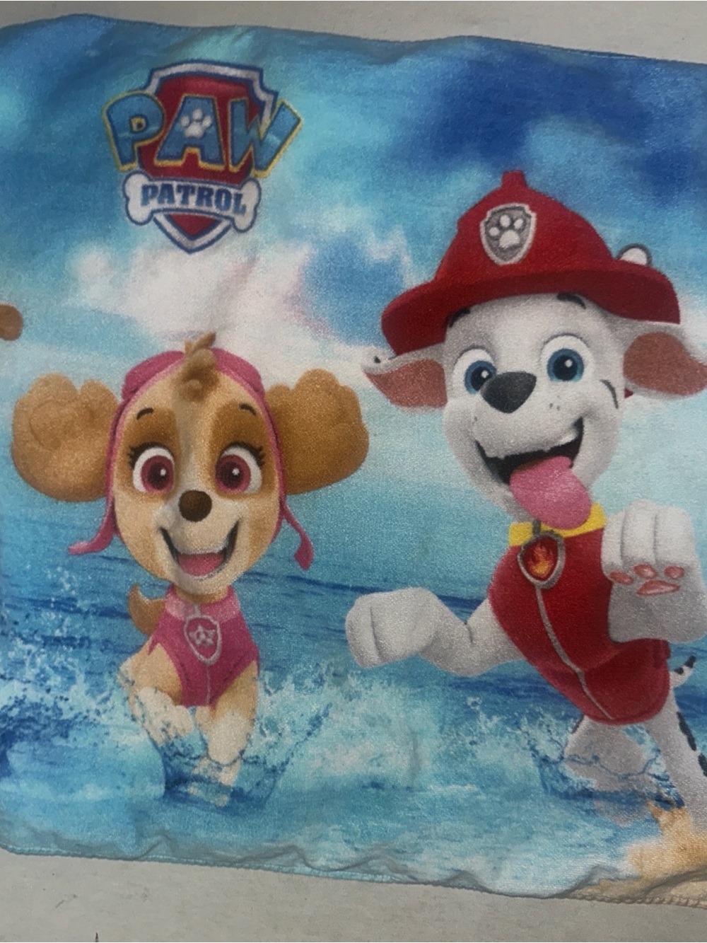 Paw Patrol Blue and Pink Skye Kids Towel